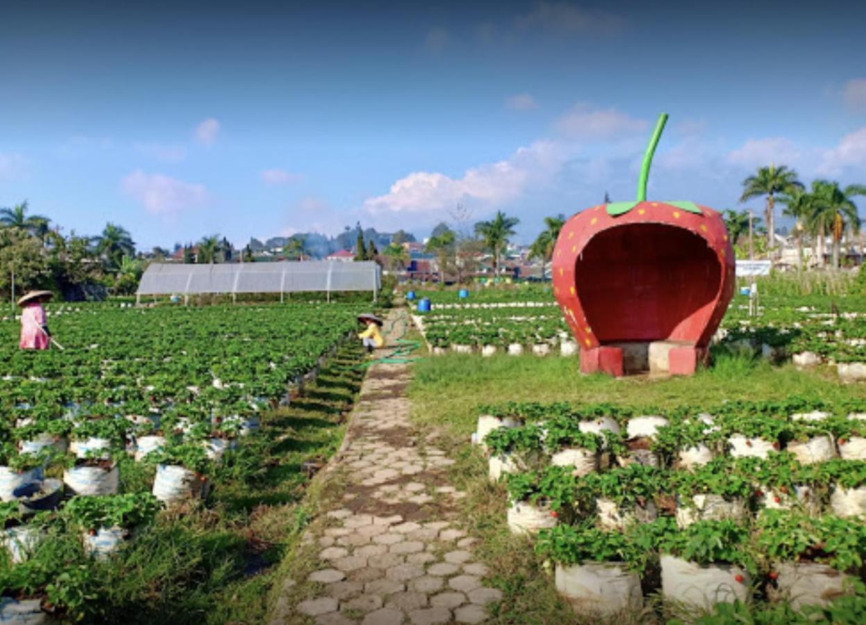 Villa Musti Green Apple CipanasSindanglaya エクステリア 写真